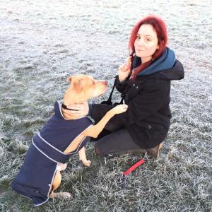 10881278_965132330180995_1124375228_n