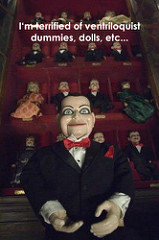 4334544653_5f0fa8ce37_m