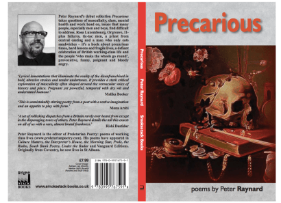 Precarious Cover